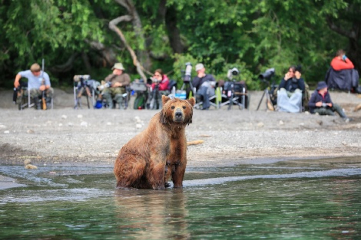 «Who is there?» Photo by Alexander Kutergin