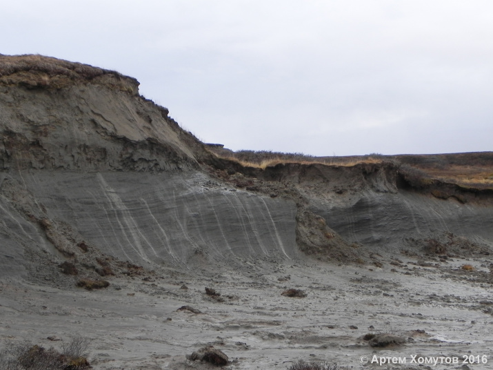вытаивание подземного пластового льда в термоцирке, полуостров Ямал, октябрь 2016 вытаивание подземного пластового льда в термоцирке, полуостров Ямал, октябрь 2016
