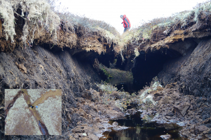 Тоннель от вытаявшего полигонально-жильного льда. Фото: Елена Бабкина На вкладке: вид участка сверху Тоннель от вытаявшего полигонально-жильного льда. Фото: Елена Бабкина На вкладке: вид участка сверху