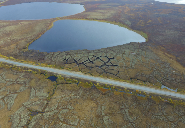 Участок мониторинга торфяного массива недалеко от села Газ-Сале. Фото: Артем Хомутов