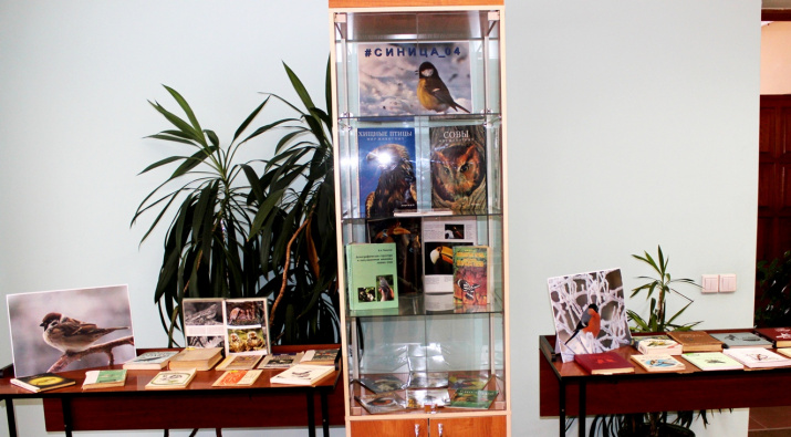 выставка книг. Фото С. Белекова