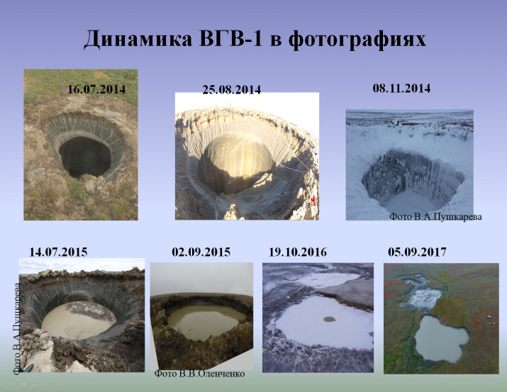 Динамика ВГВ Динамика ВГВ