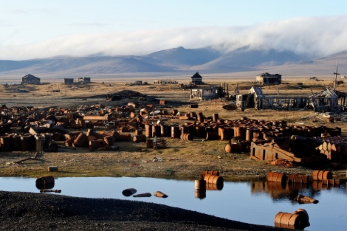 Wrangel Island. Photo by Sergey Gorshkov