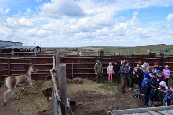Экскурсанты у вольера с киангами