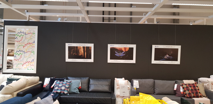 С.А. Соткина