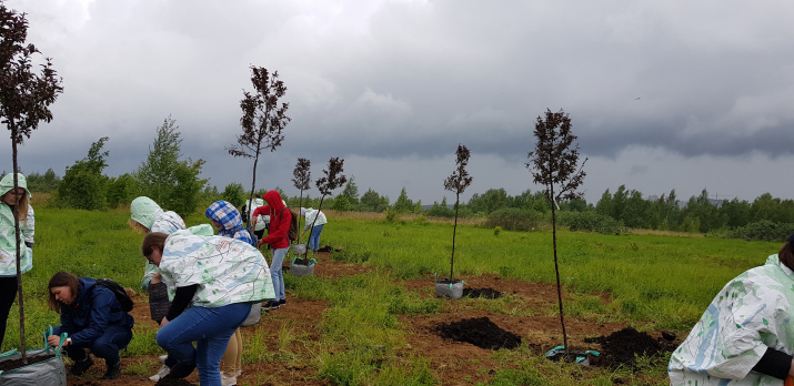 С.А. Соткина