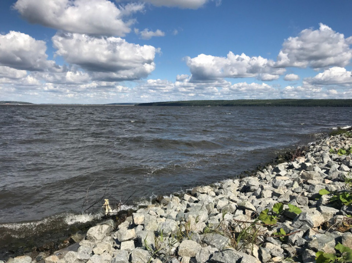 Берег Сурского водохранилища
