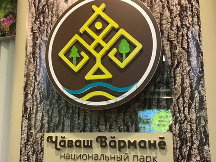 С.А. Соткина