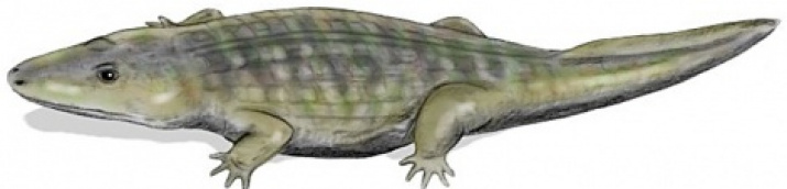 Wetlugasaurus