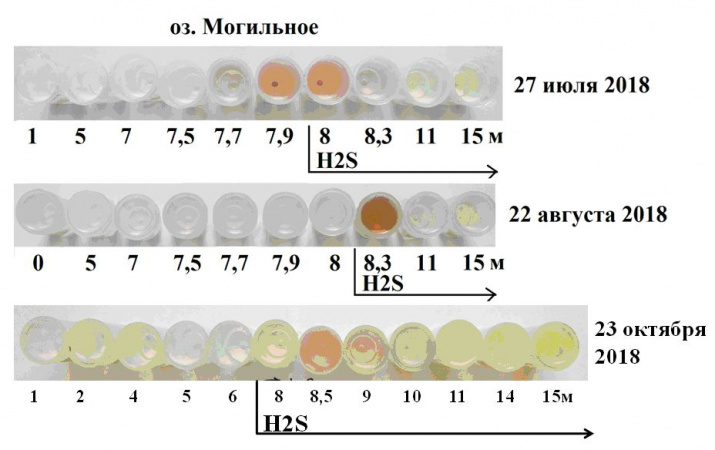 Пробы воды – эволюция цвета