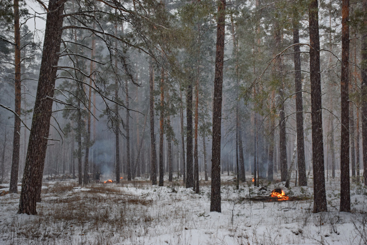 "Огневая чистка леса" - удаление с помощью огня послерубочного мусора. Фото: Вельмовского П.В.