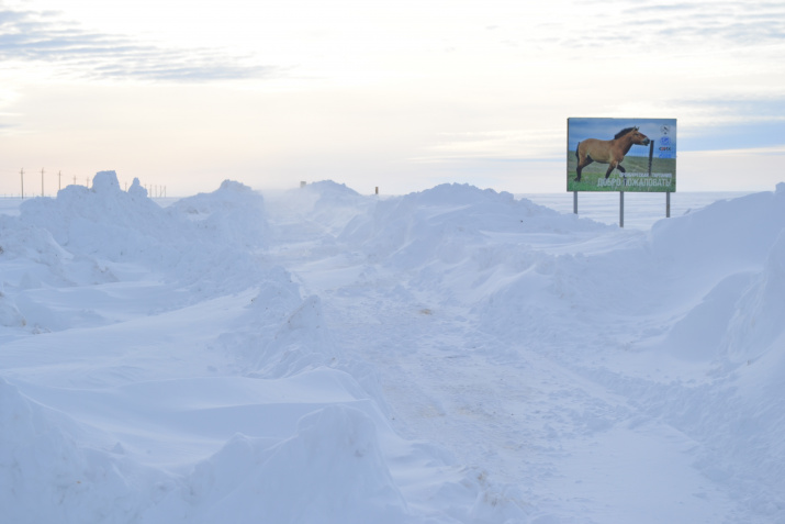 Дорога в Тарпанию в снежном плену. Фото: Сергей Левыкин