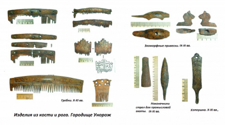 Костяные гребни, найденные в Унороже. Фото предоставлено Костромским областным отделением РГО