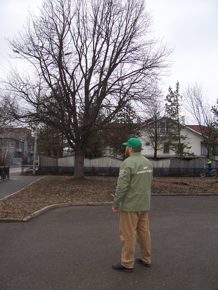 Юрий Жаворонков, руководитель комиссии "Дендрохронология" ВРО РГО.