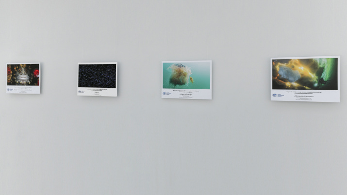 Фото: пресс-служба Парка науки и искусства "Сириус" Фото: пресс-служба Парка науки и искусства "Сириус"