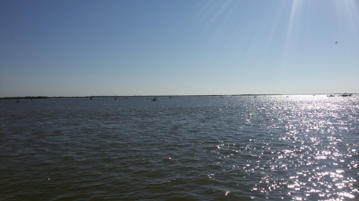 Авандельта утром