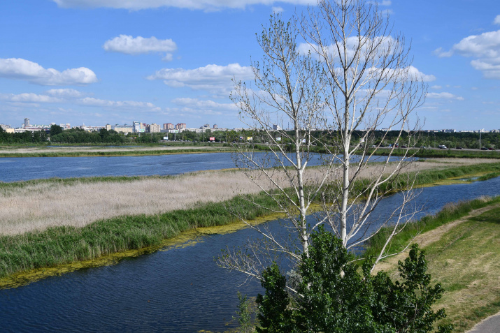 Природный парк «Птичья гавань» находится в центре города Омск