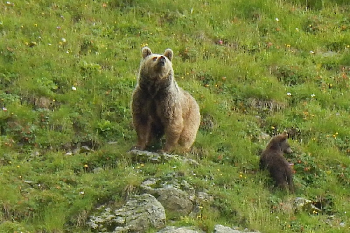 Фото: Александр Белоусов 