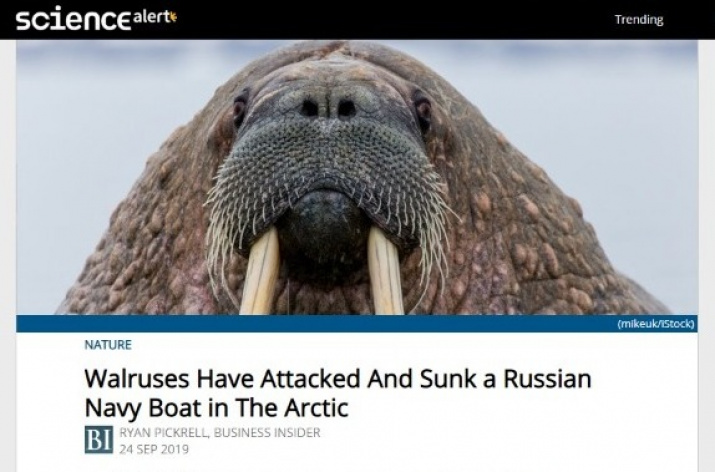 Заголовок: "Моржи напали и потопили русскую военную лодку в Арктике". Скриншот Science