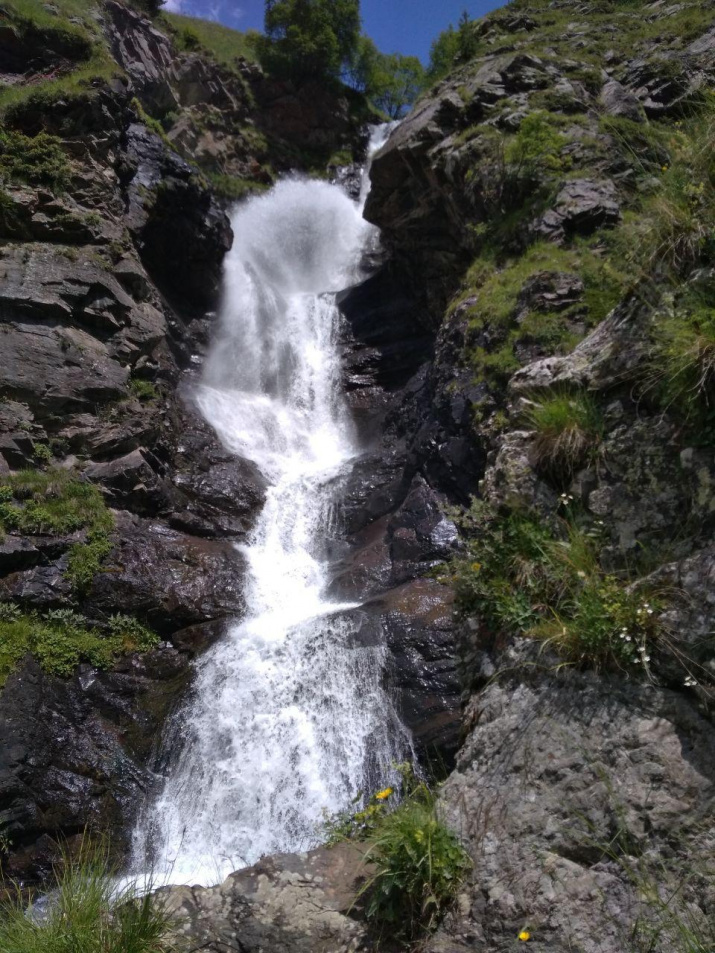 Фото предоставлено участниками волонтёрской смены в национальном парке