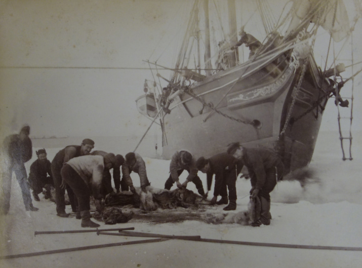 Команда "Эйры". Архивные фтографии хранятся в Лондонском королевском географическом обществе.