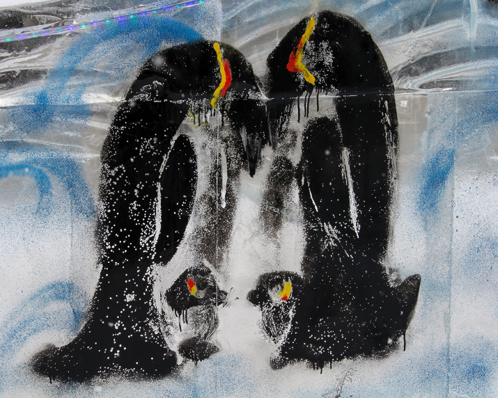 Семья пингвинов. Фото: Вадим Осипов