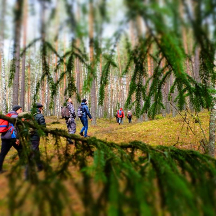 Орловское Полесье