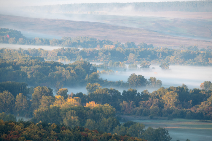 Туманы ранней осени. Фото: Светлана Горбатых