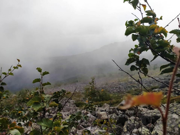 Фото: Оксана Янцер