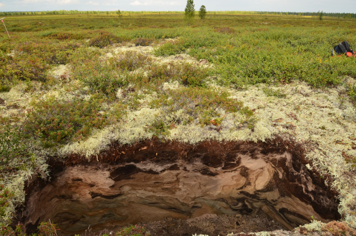 Soil ART