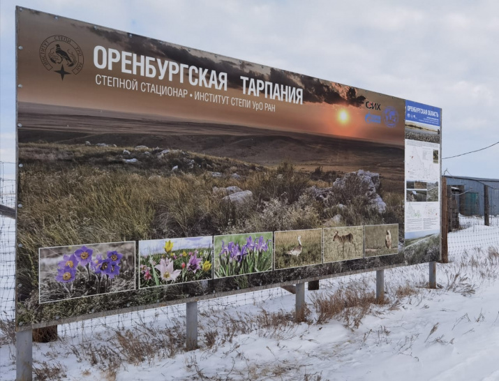 Степной стационар Института степи УрО РАН «Оренбургская Тарпания»