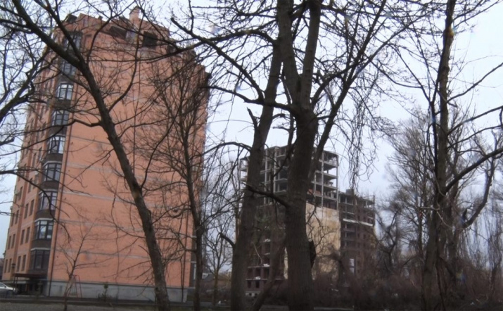 Эльтавский лес – март 2021. Фото предоставлено Дагестанским отделением РГО.