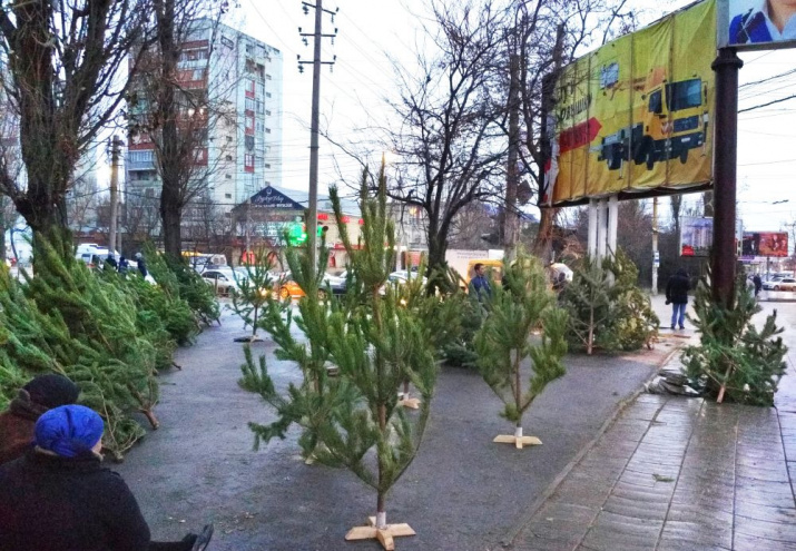 Предновогодняя Махачкала – угол проспектов Шамиля и Гамидова. Фото предоставлено Дагестанским отделением РГО.
