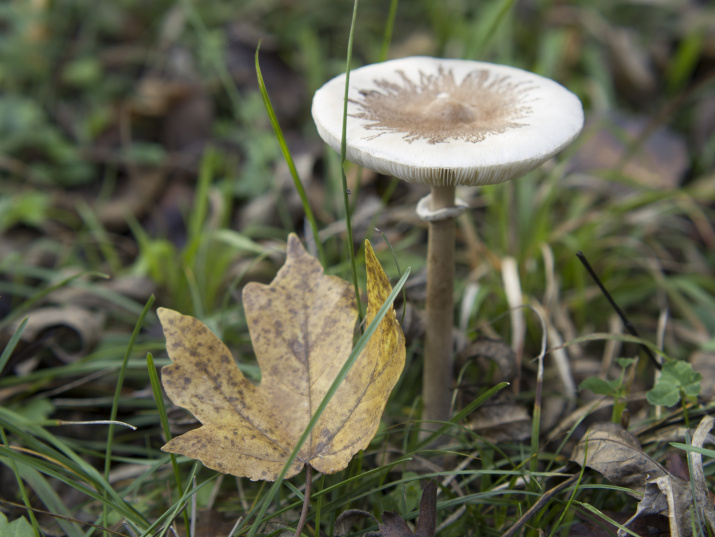 фото Юлии Кузиной