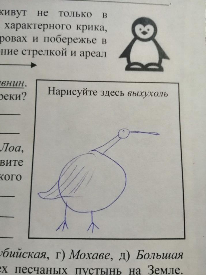 Какой видят выхухоль участники проекта?