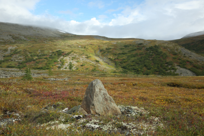 Приполярный Урал. Фото: Евгений Тамплон