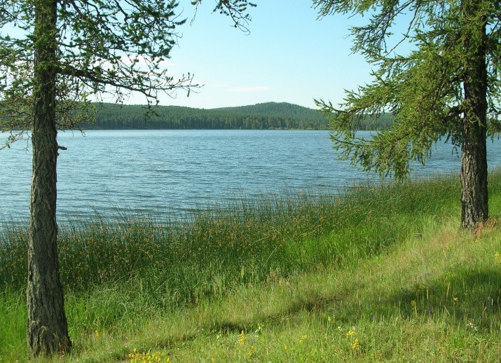 Озеро Калкан в островном Ургунском бору. Фото В.П. Путенихина 