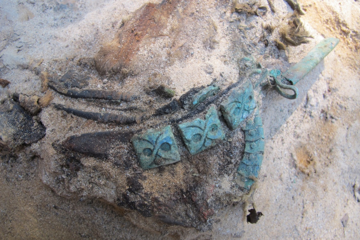 Раскопки на Кузинских хуторах. Фото: МарНИИЯЛИ/"ВКонтакте"