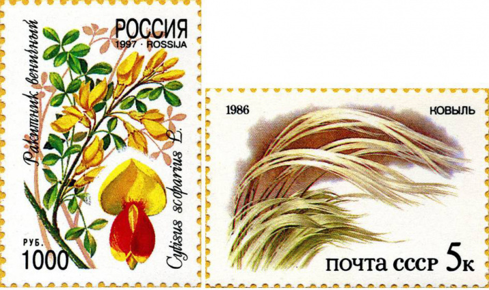 Ракитник и ковыль – растения северной степи. Почтовые марки России (1997 год) и СССР (1986 год)