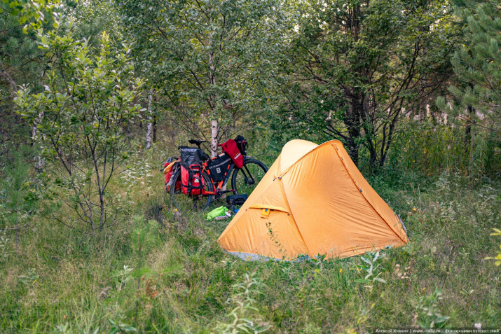 Фото Алексея Клянина