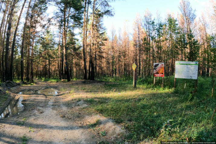 Фото Алексея Клянина Фото Алексея Клянина