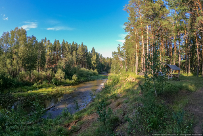 Фото Алексея Клянина