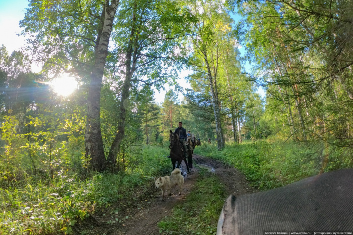 Фото Алексея Клянина Фото Алексея Клянина