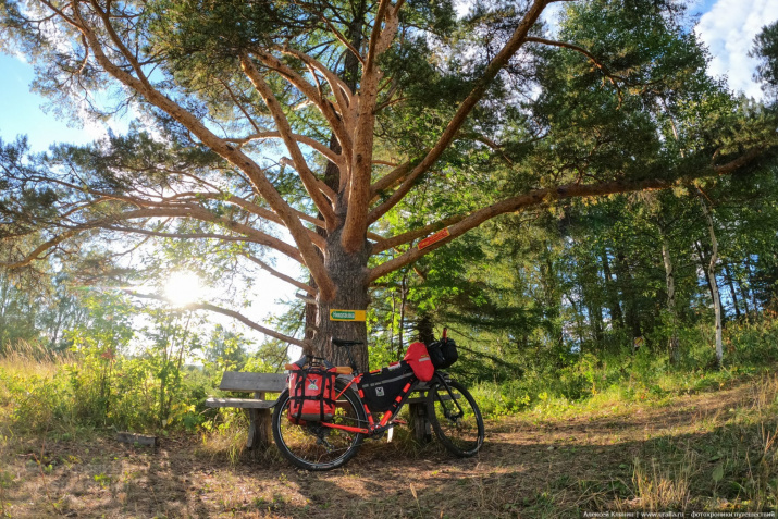 Фото Алексея Клянина Фото Алексея Клянина