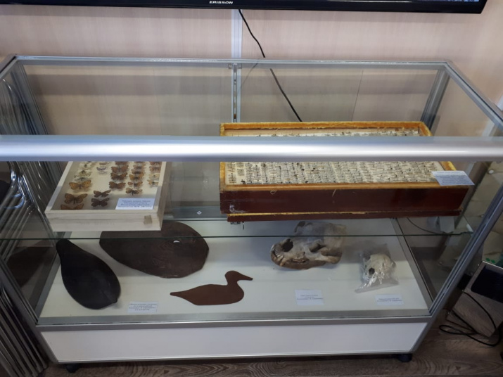 Экспонаты выставки; авторы фото: Кондратьев А.В. и Бельгер В.В.