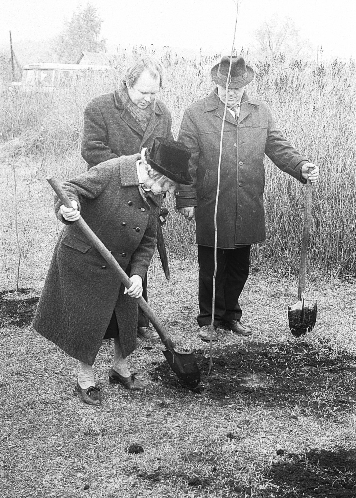 13 октября 1977 года. В.Д. Семенова-Тян-Шанская  во время высадки деревьев в парке при музее в деревне Гремячка. (Фото В.И. Данилова)