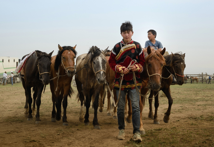 Лошади играли особую роль в жизни кочевого народа. Фото: Иван Терёхин