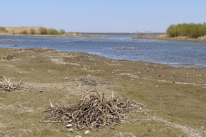 Место находки