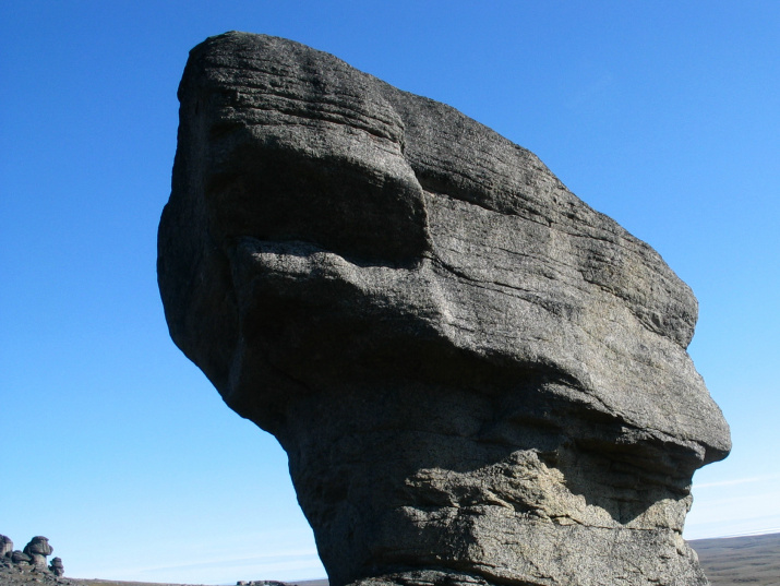 «Каменные люди» Новосибирских островов. Фото А. Обоимова
