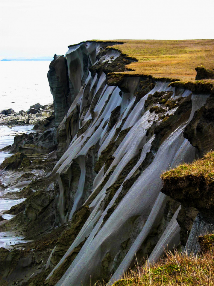 Берега островов сложены из ледового комплекса - едомы. Фото А. Обоимова